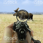 Profile picture of cr